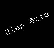 coach-sportif-a-domicile-paris-mot-bien-etre