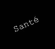 coach-sportif-a-domicile-paris-mot-sante